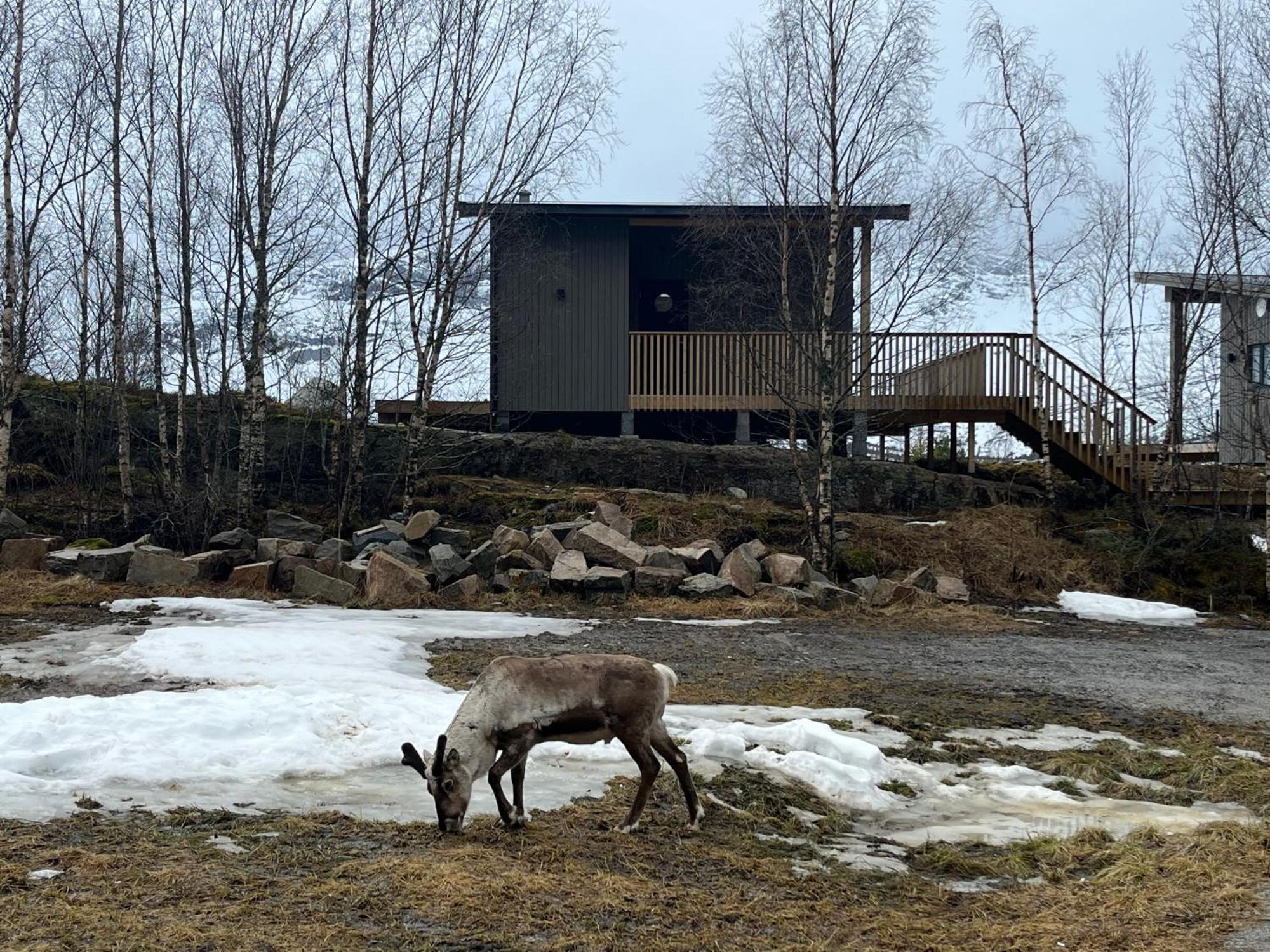 Efjord And Stetind Resort - Cabin Kobbernestinden Ballangen Exterior photo